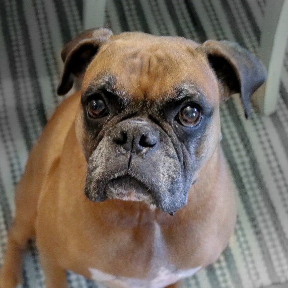 Meet your Posher, Ashlyn - Picture 1 of 1